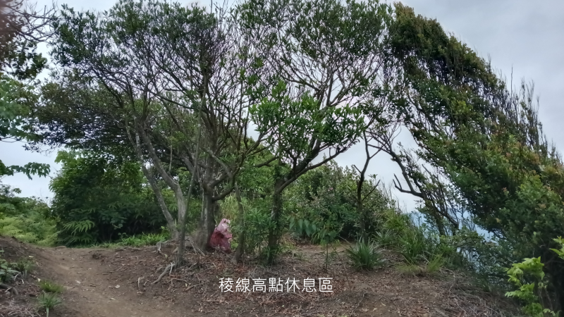 59a5abb3ea144ad1d882614755485f6a.png