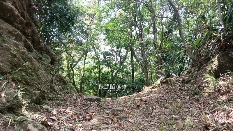 59ab2664816c1fa55401819125f12937.png