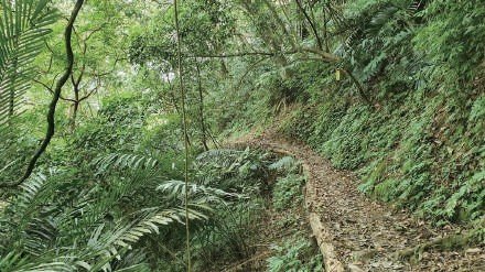 十寮山→打牛崎步道（RSA10）