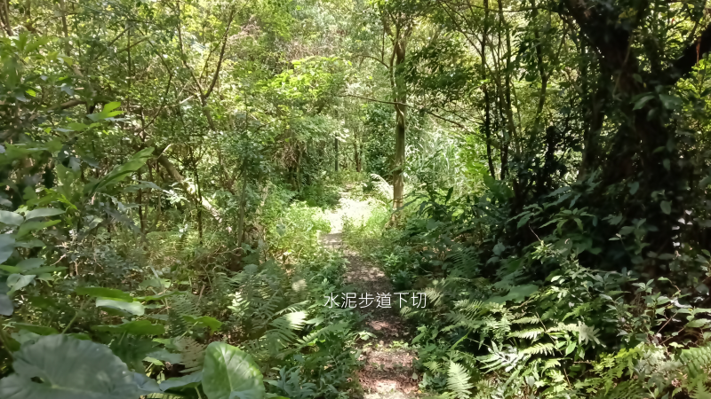 59d94d72d21fcb57b3b9f38d40bca8a0.png