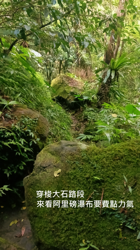 59e7467f012479f7c3db42e5cee3a5a5.png
