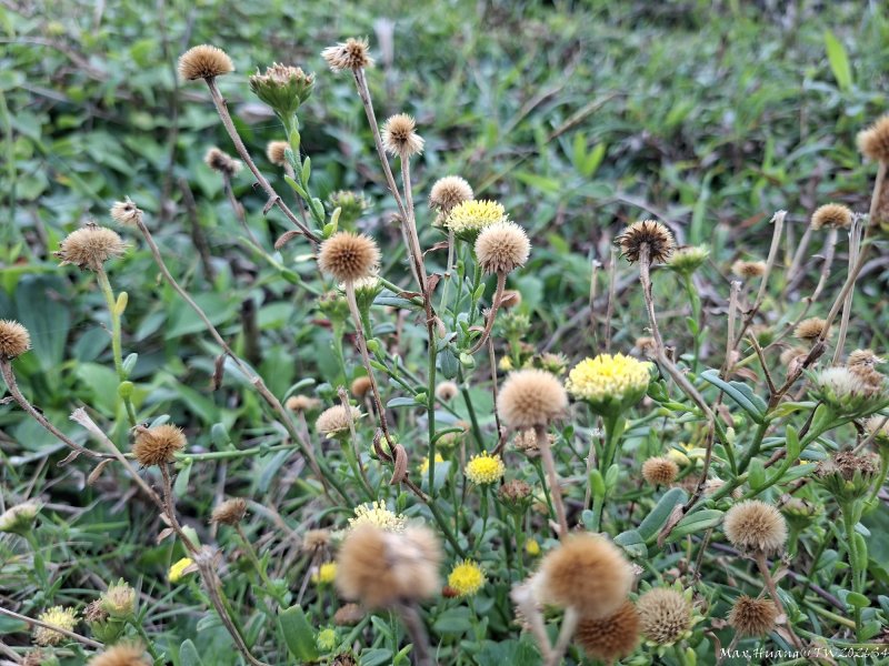 5a11662ba40d1523535bee84f667efb5.jpg