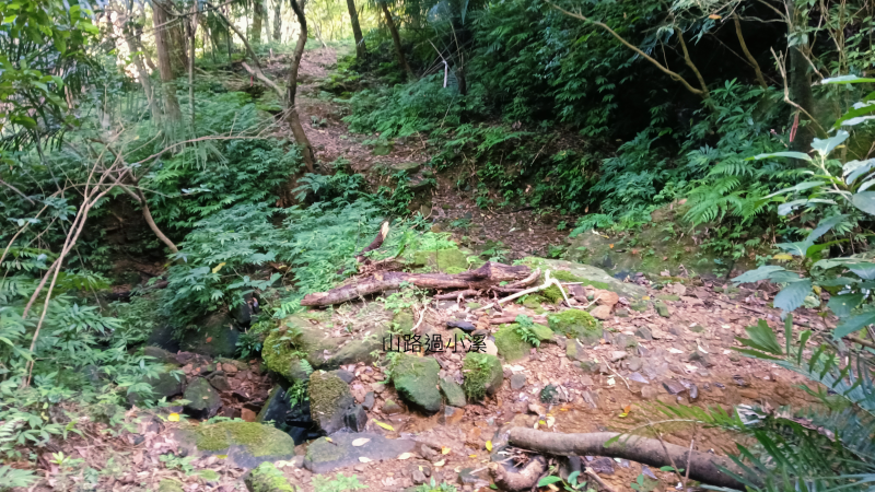 5a1e243372d27423242aa436b61a215a.png
