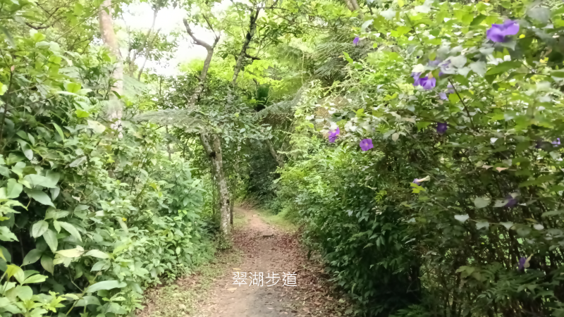 5a4dc2dc73459af7b634392cfe2410d8.png