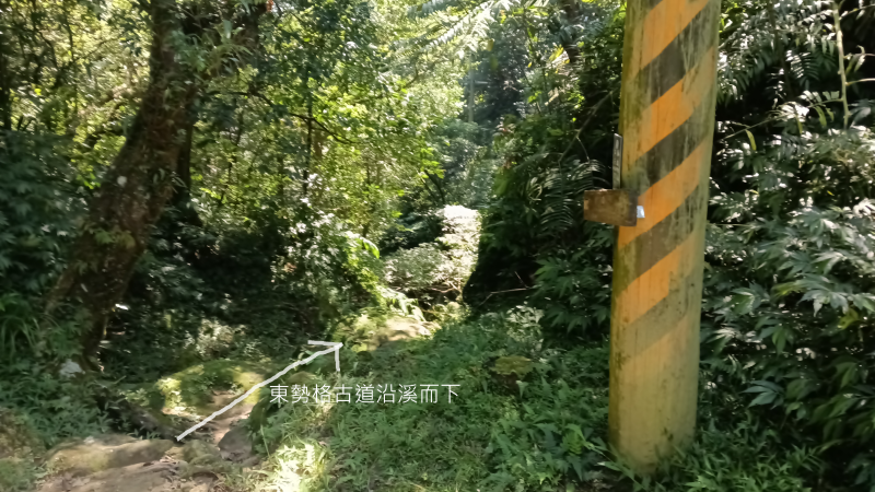 5aa77919b80a0aeb44039ff5a2b95571.png