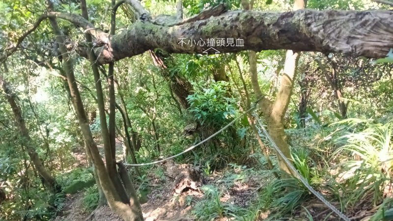 5ab05db1fb78150c78e762e5b9491d4f.png