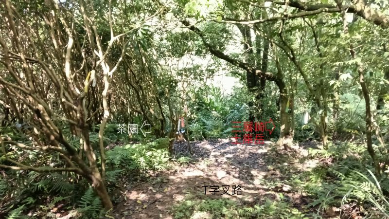 5b06c0189e0a2cfc4c8e0b3e5adebbe4.png