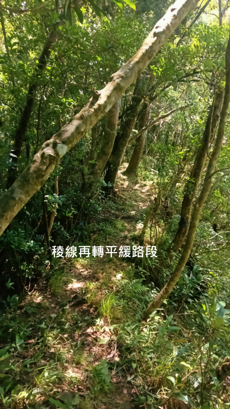 5b3c03a1e400802fdde8a00b9aa2ba13.png