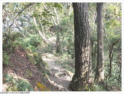 太極嶺 (48).JPG - 太極嶺、五城山