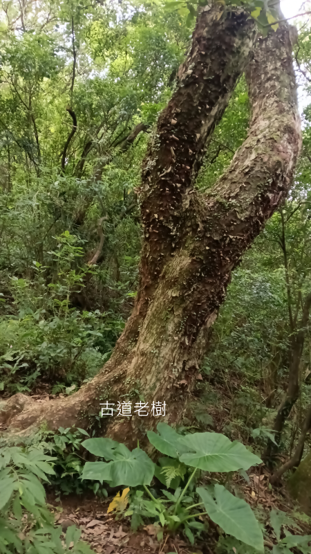 5b40da94f96205e80d5cfbff3e02c83f.png