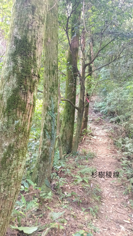 5b601c9ca18ee4acf990f3785b368e62.png