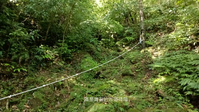 5ba81b9477d4367c40a3bf906d234cc5.png