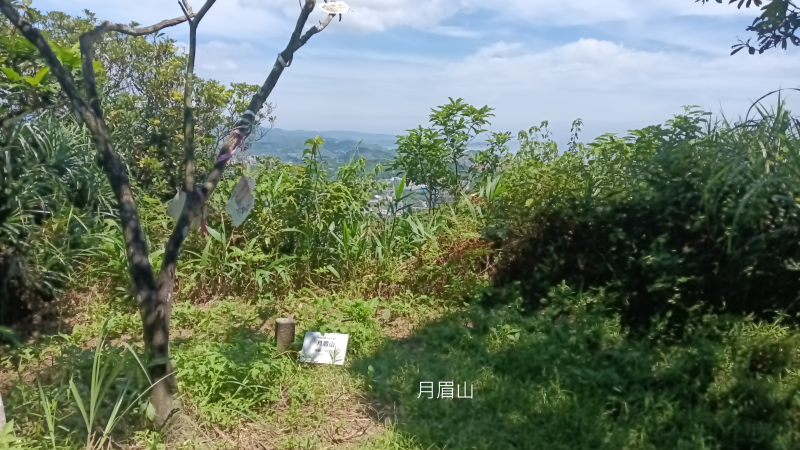 5bfa75d72bfc314a38d3577ab429e107.png