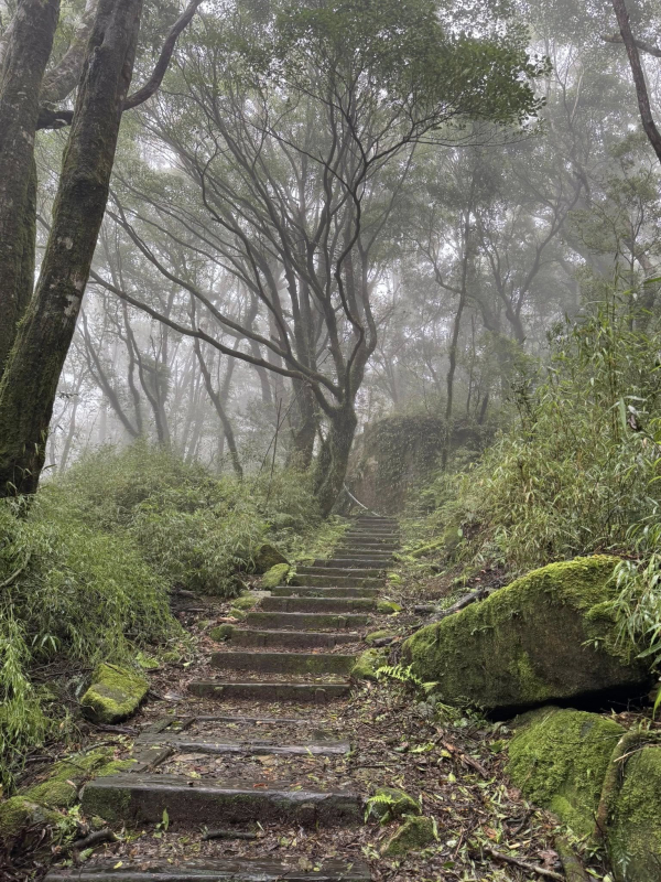 奮起湖大凍山