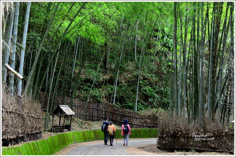 石壁木馬古道-五元二角-雲嶺之丘