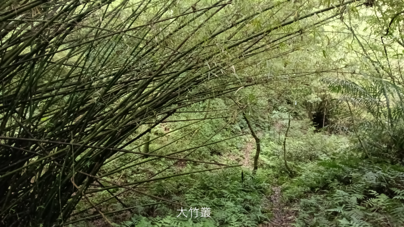 5c410cc212ae6d8c461b920602433268.png