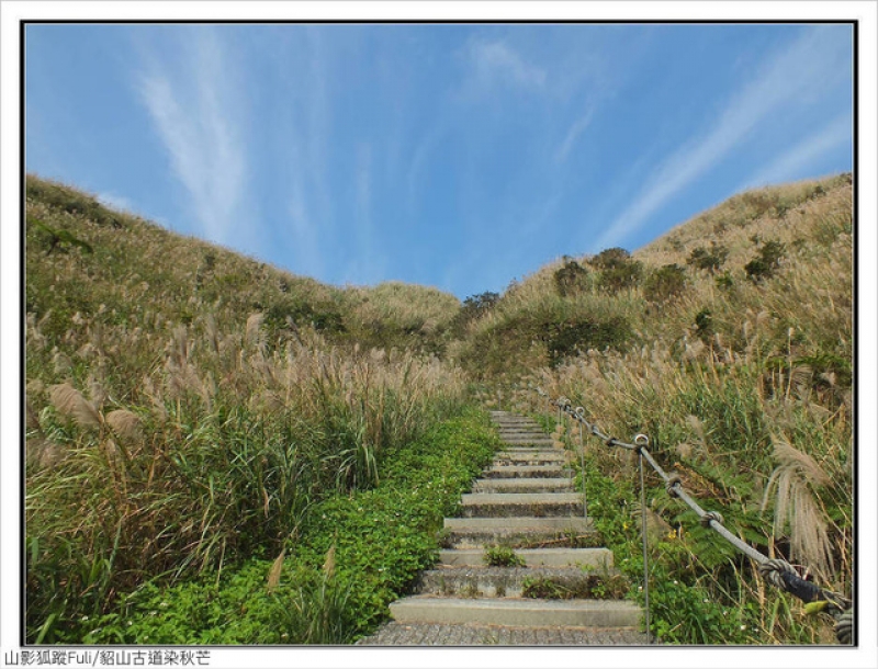 貂山古道 (34).jpg - 貂山古道