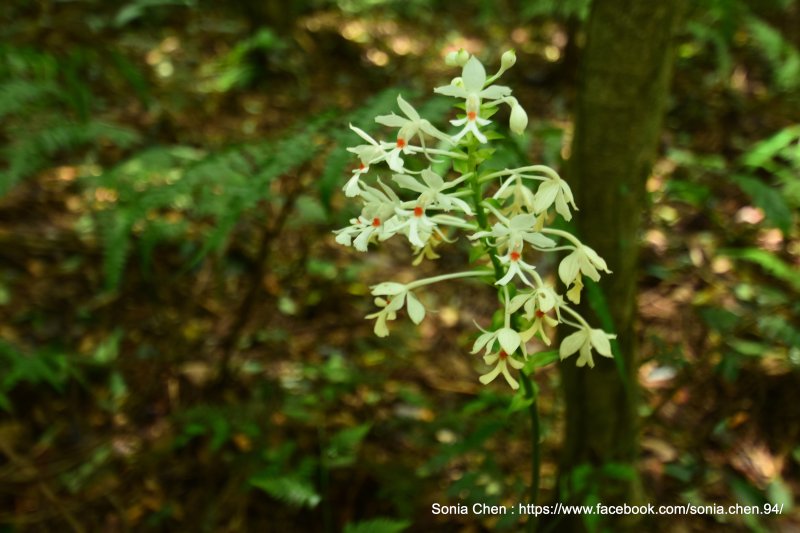 5c589b6b1561dbbc29d4fadbfa3d5302.jpg