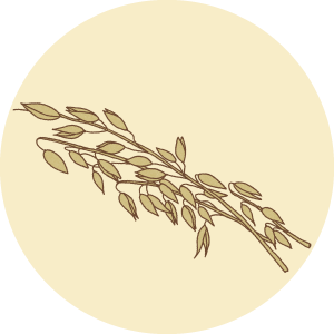 5c9dfb108c3754bfd7dd5971385f4122.png