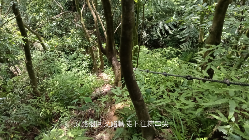 5cbe5ae8b7d1436e2709565178b23167.png