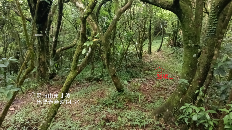 5ce4dba1a23923496fde59e49d0d8097.png