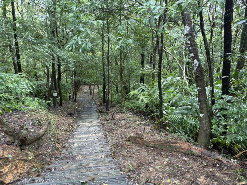 觀音巖、八仙洞步道