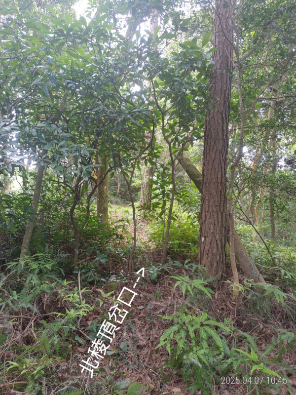 5d374410e9381c09e2c87279a55a5345.jpg