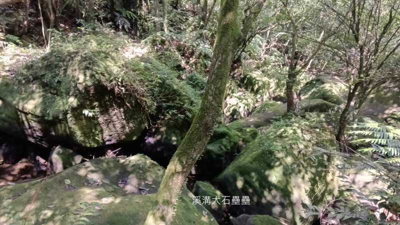 5d3c48228e2c2a1987ee282090763996.png