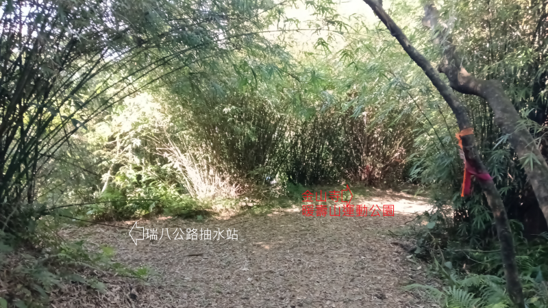 5d5a5b979ac419957fa97d59e8a190c4.png