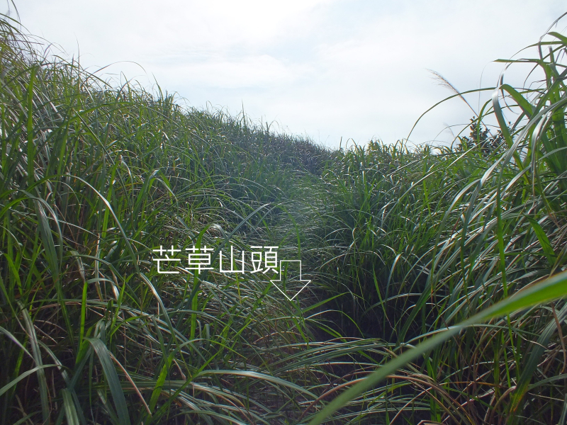 5d96962a4ca5e93e96cf69719921b9b1.jpg