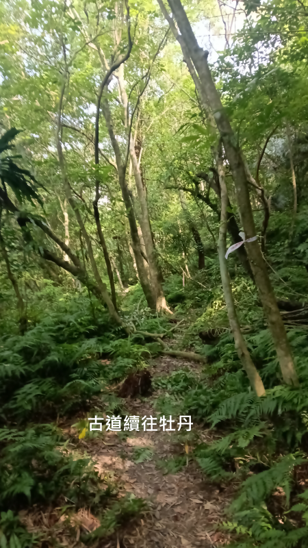 5d98949f0299635f985bd17b1cad100b.png