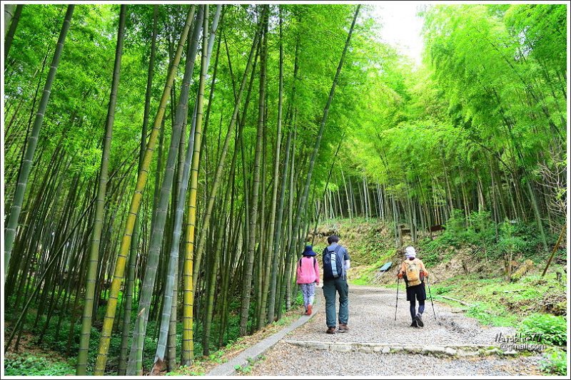 石壁木馬古道-五元二角-雲嶺之丘