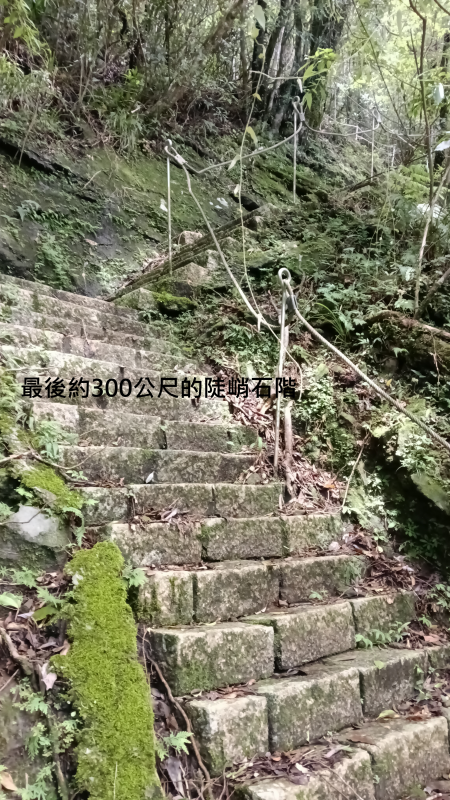 5dc5c60b13cdf51c97b14e280046560d.png