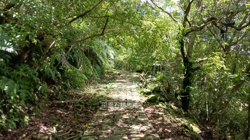 5dcd9771c1c6f8f1a094a21e7f702827.png
