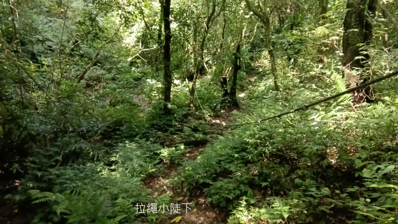 5dd41f38a66021b859ebcf9524f9054b.png