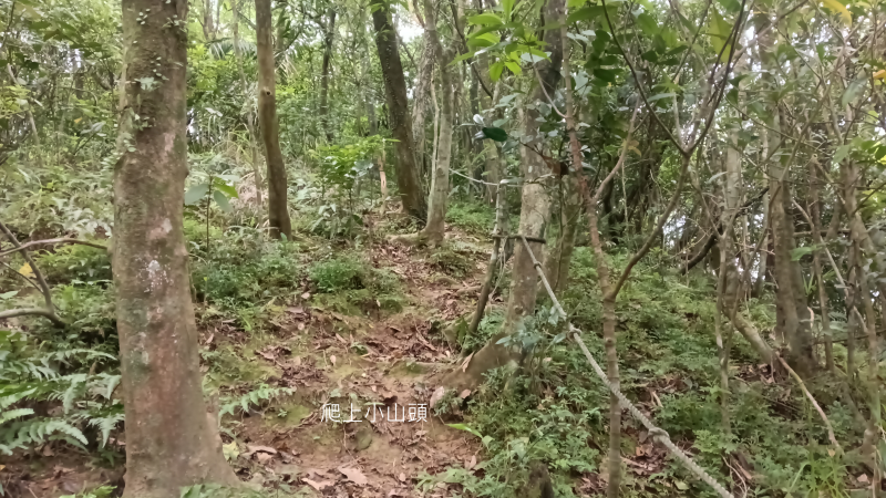 5e20452966ffda27d87c882e209ec1a1.png