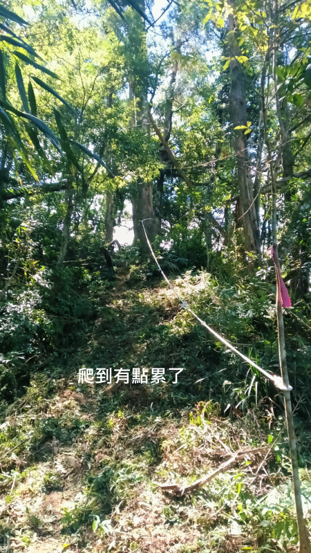 5e48144254b56aa9f1c856e97663b57f.png