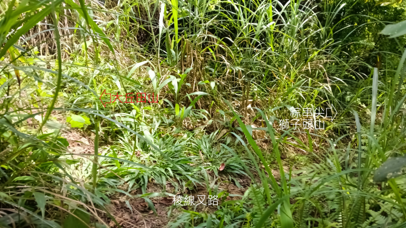 5e56eba12341c1ec96d822c817f0c276.png