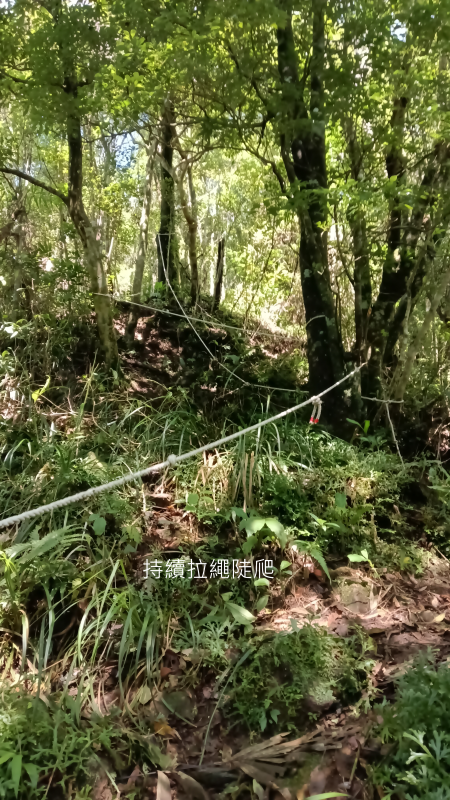 5ecff09ecbc7e8b4b907e0436de53332.png