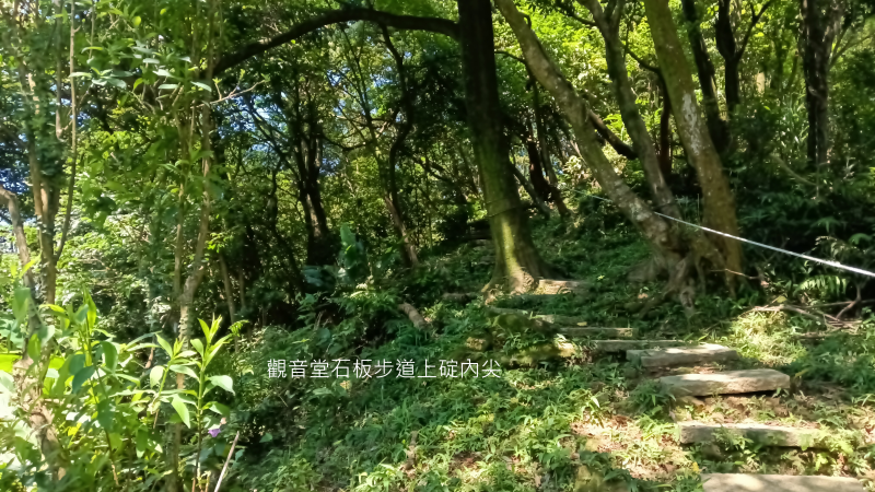 5f9cbcc9bae1a0105dbb71d4273154fa.png