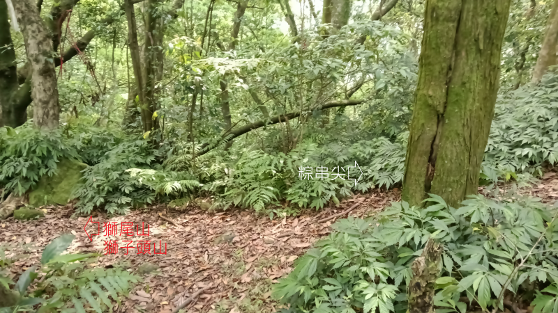 5ffc2337de12a6b516479e9e4e5d0ef3.png