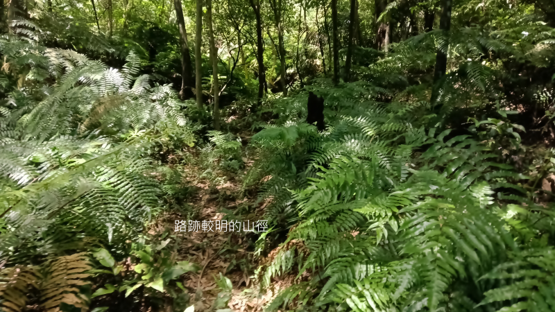 60176b6130452079eabbb7e29932ac6e.png