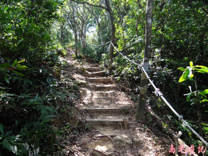 桃園 楊梅福人登山步道 健行筆記