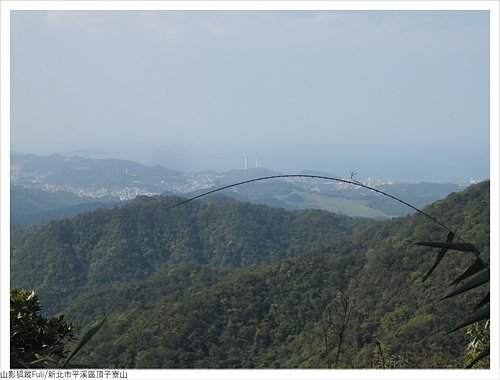 頂子寮山 (25).JPG - 頂子寮山