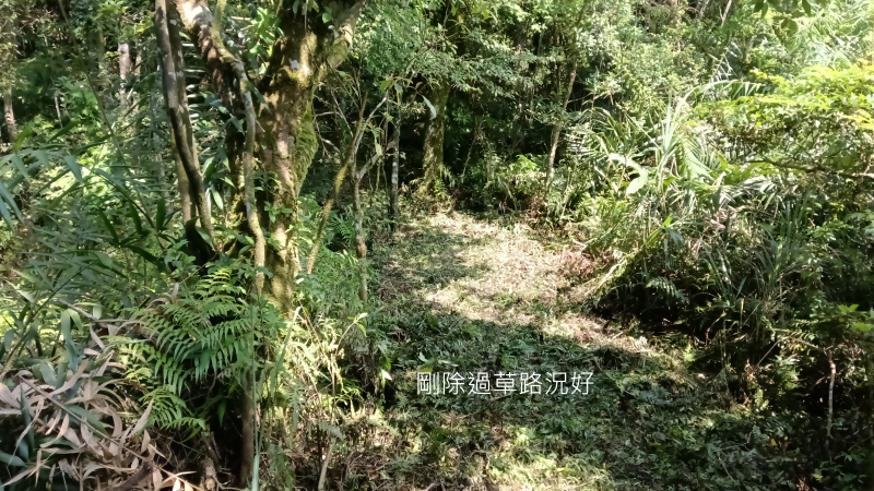 6040f0aa74f2b86ad1295cb0695ae26b.png