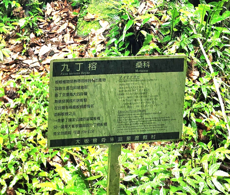 60635eefda6a2fc76c924e51bedd09c9.jpg