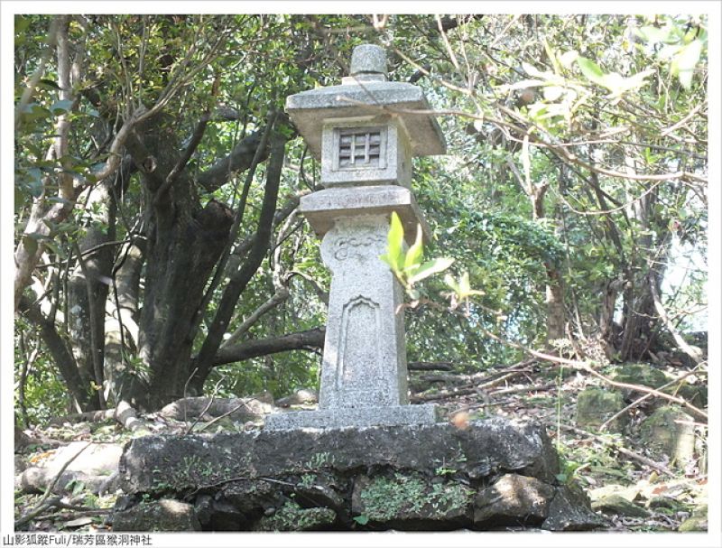 猴洞神社 (28).JPG - 猴洞神社鐘萼木
