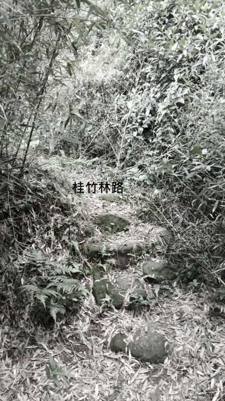 6138ec55c9b102fe824d0ae08748bc36.png