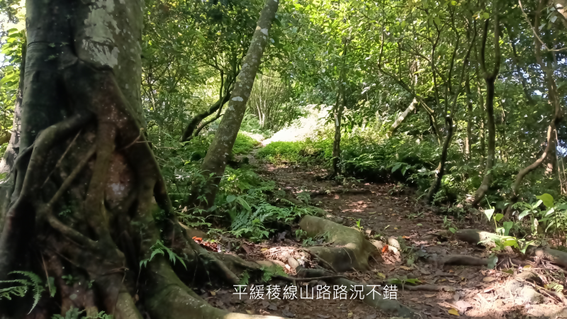 614d34703f87269ed99c0b0ec3c517da.png