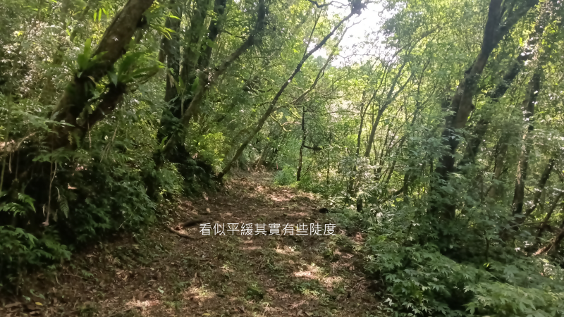 61584de789852863e39063ab0fb41954.png
